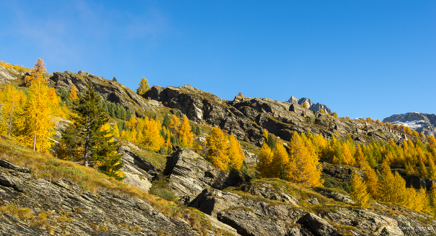 _DSC1058.jpg