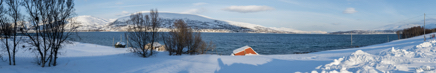 _DSC9373-Edit.jpg