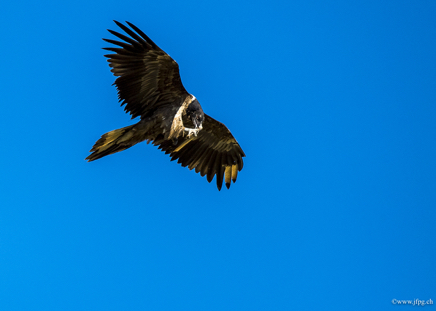 _DSC2674.jpg