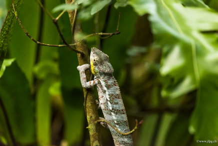 _DSC9695.jpg