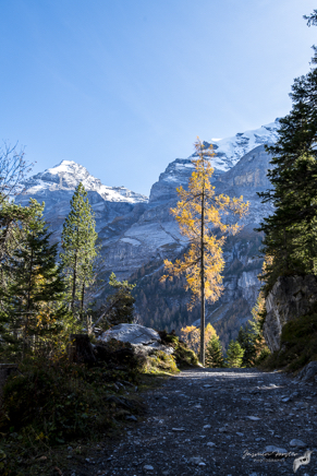 _DSC5935.jpg